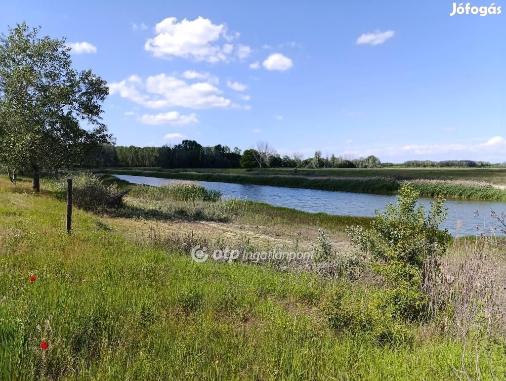 13 hektár szántó, tó, tanya egyben eladó Pusztamérgesen!