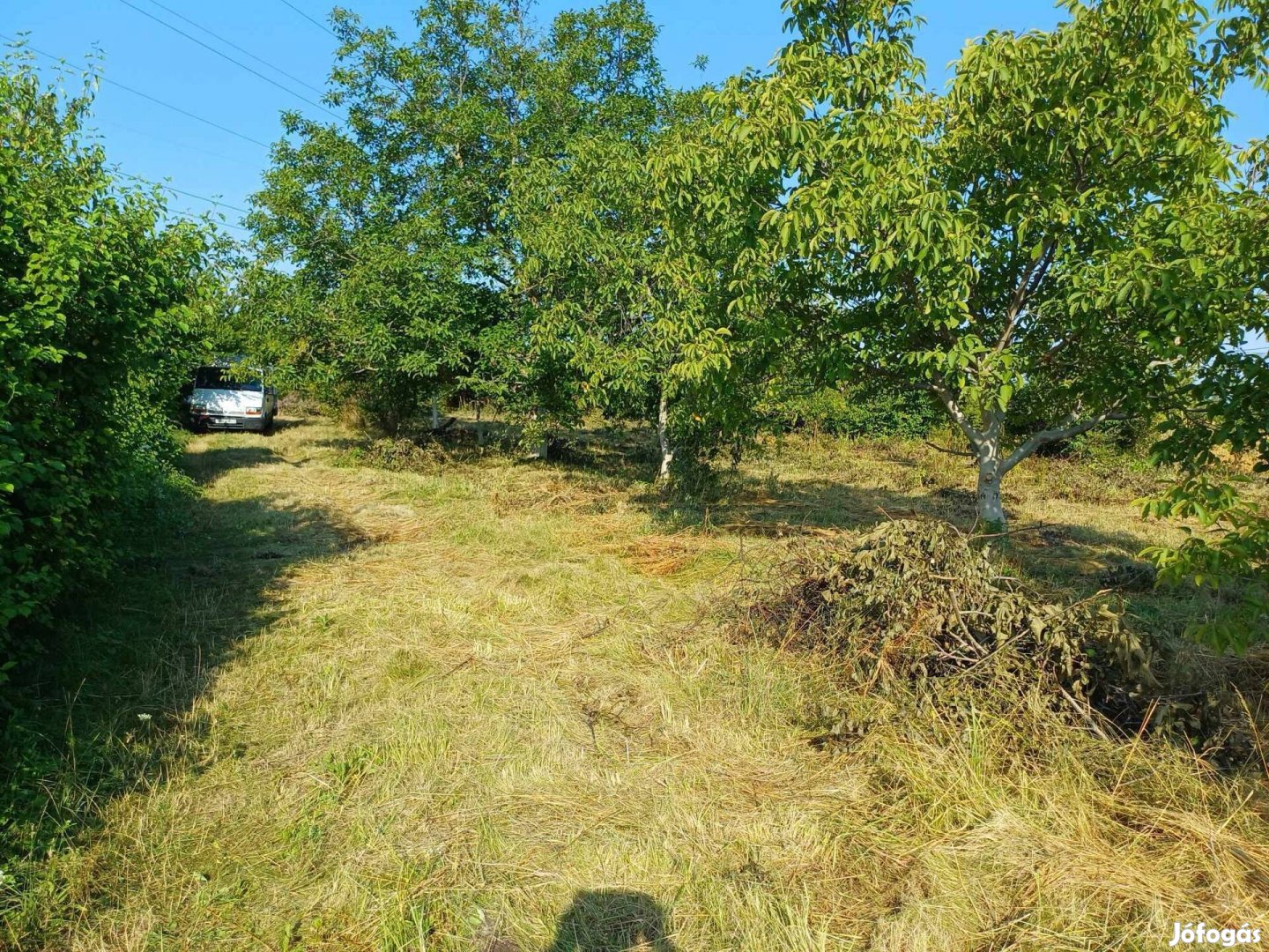 1500nm-es gyümölcsös / kert Győr közelében eladó