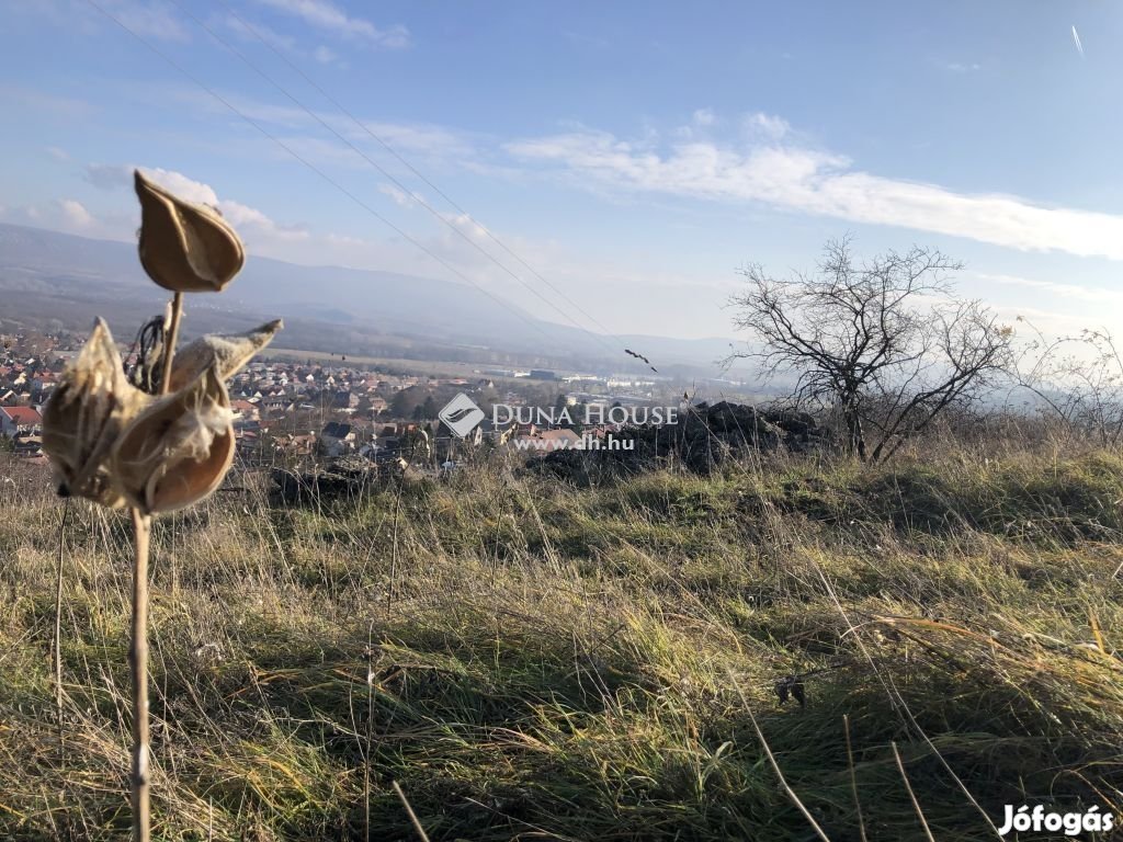 1557 nm-es telek eladó Dorog