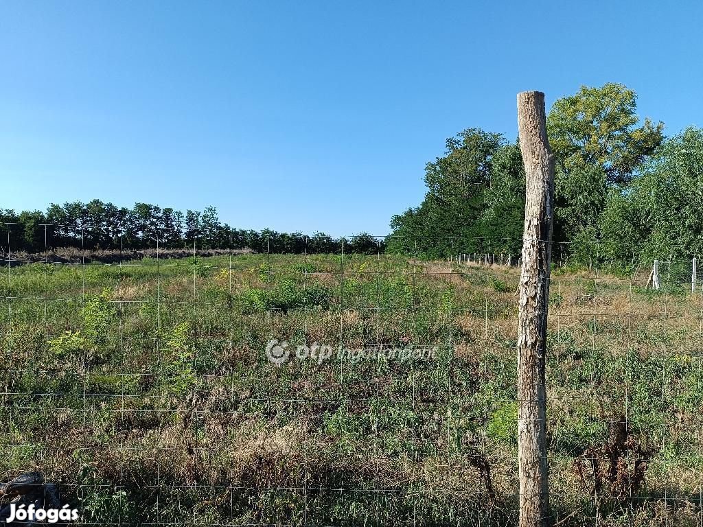 16000 nm-es telek eladó Nyíregyháza