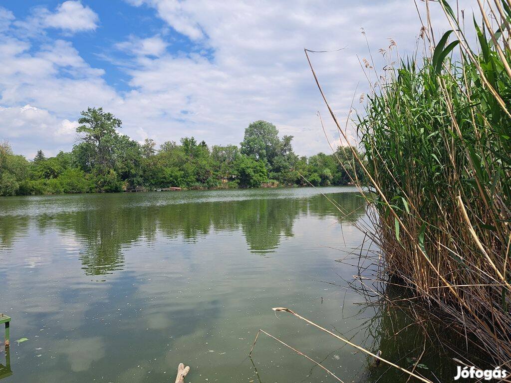 1638 m2 vízparthoz közeli telek