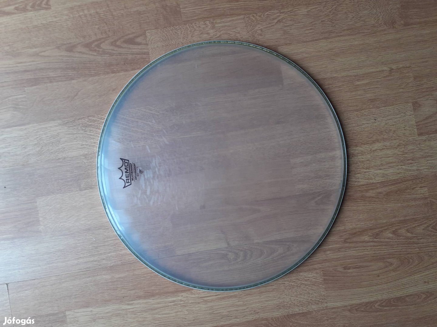 16" Remo Ambassador clear dobbőr