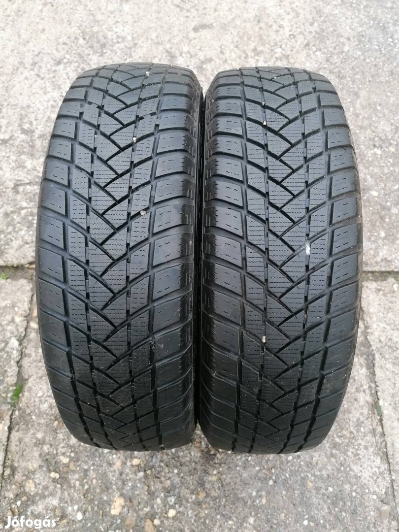 175/65R15 Téligumi 