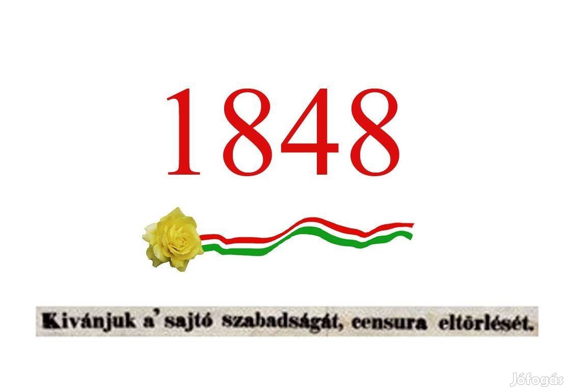 1848.hu domain név