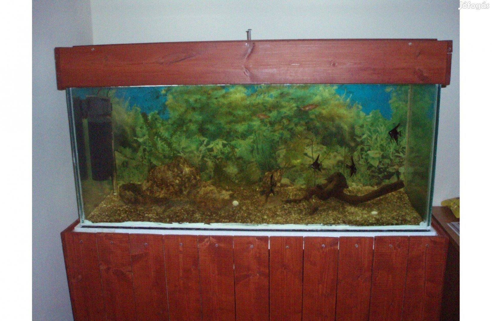 190 Literes akvárium állvánnyal