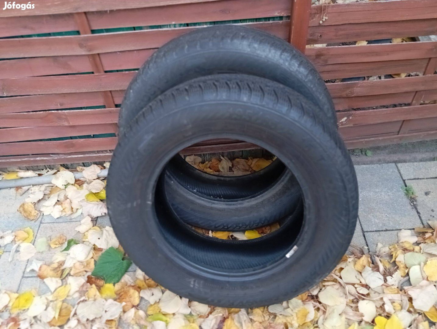 195/65x15 Eurofrost téligumi 2db