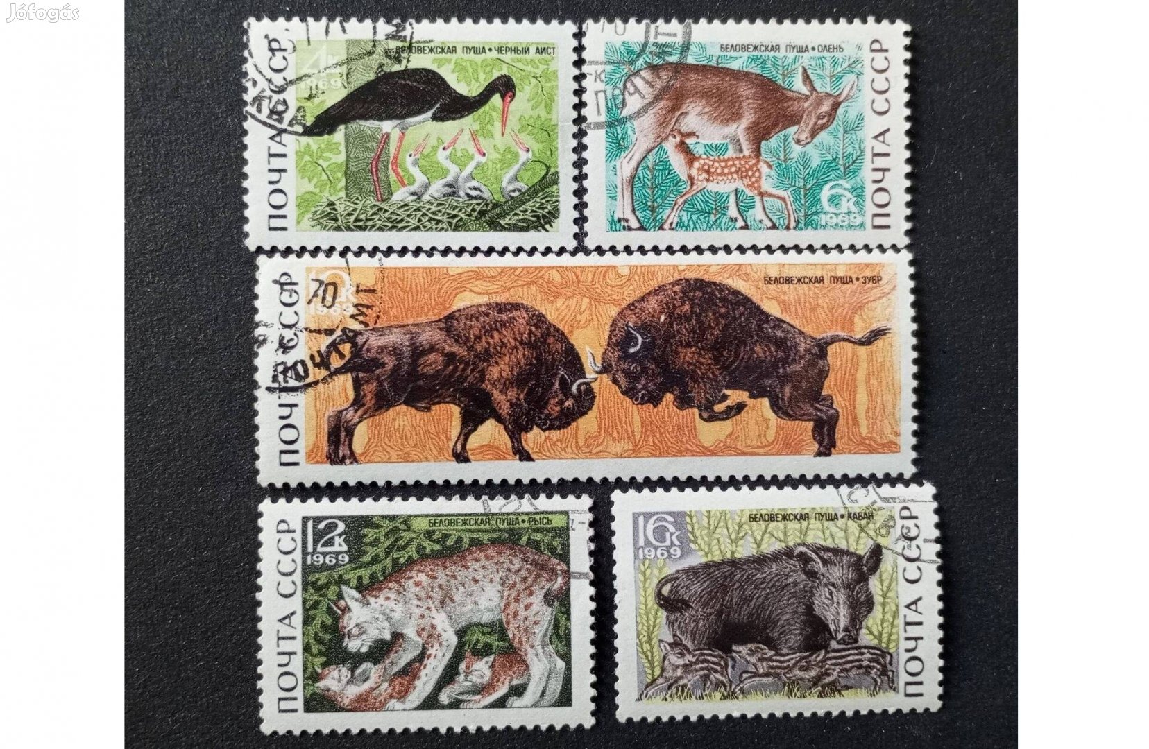 1969 Állatvilág Belovežszkaja Puscsa Nemzeti Park 1969 Fauna - Belov