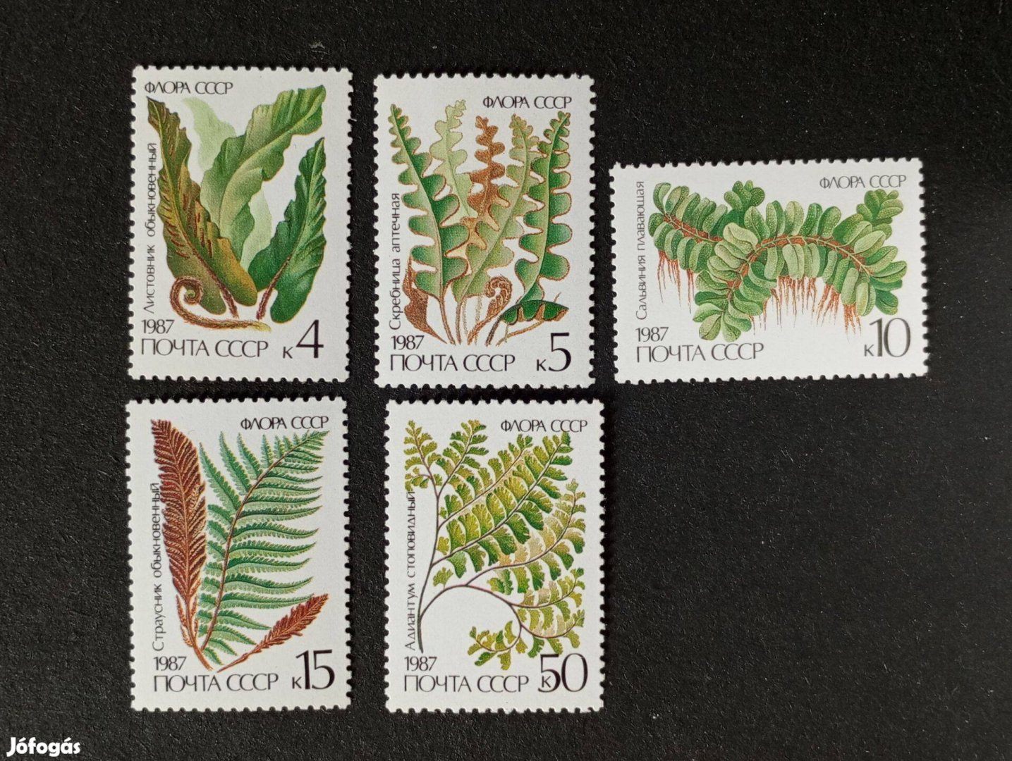 1987 Páfrányok komplett postatiszta bélyeg sor Szovjetunió 1987 Ferns