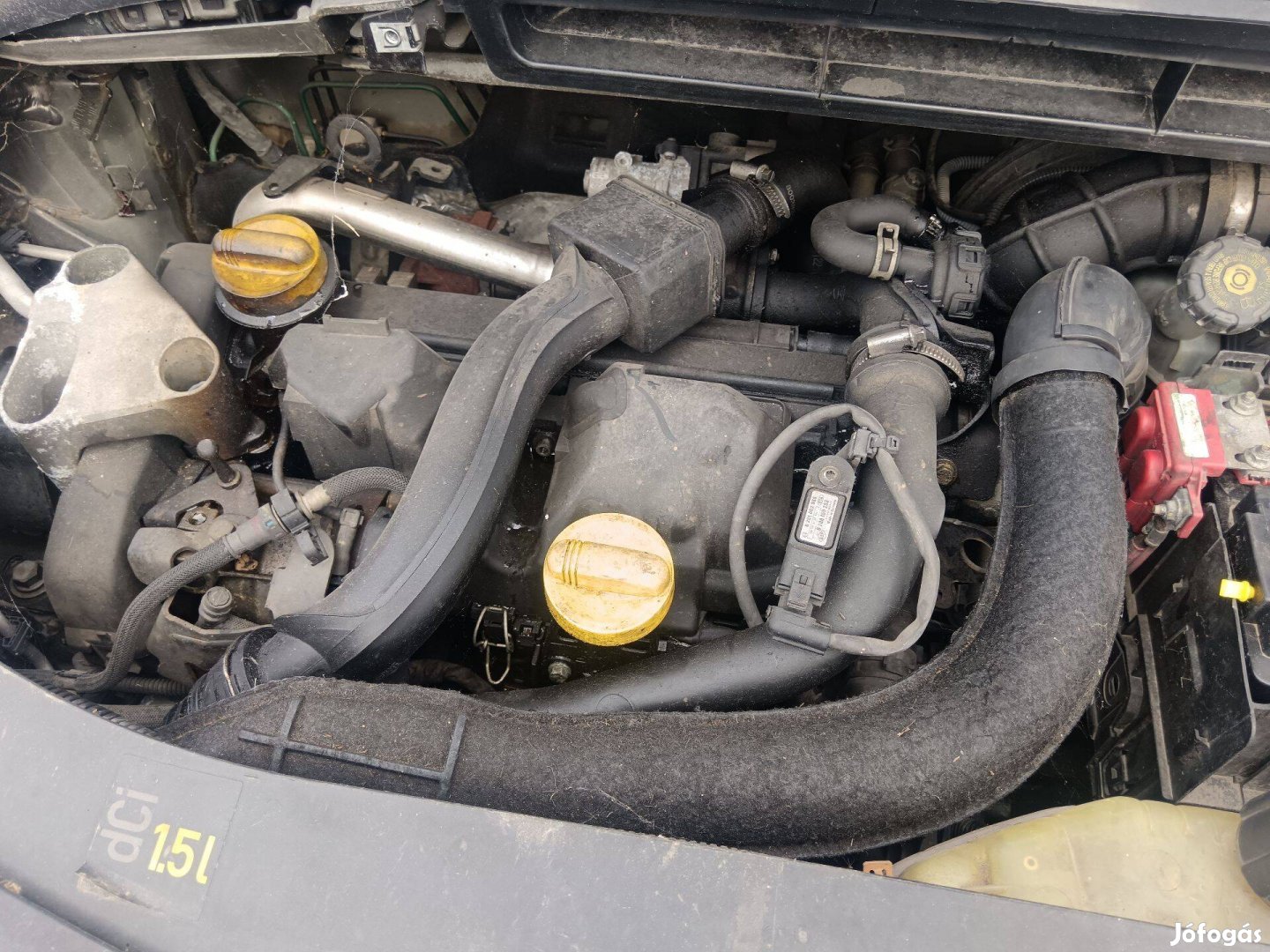 1.5 dci motor