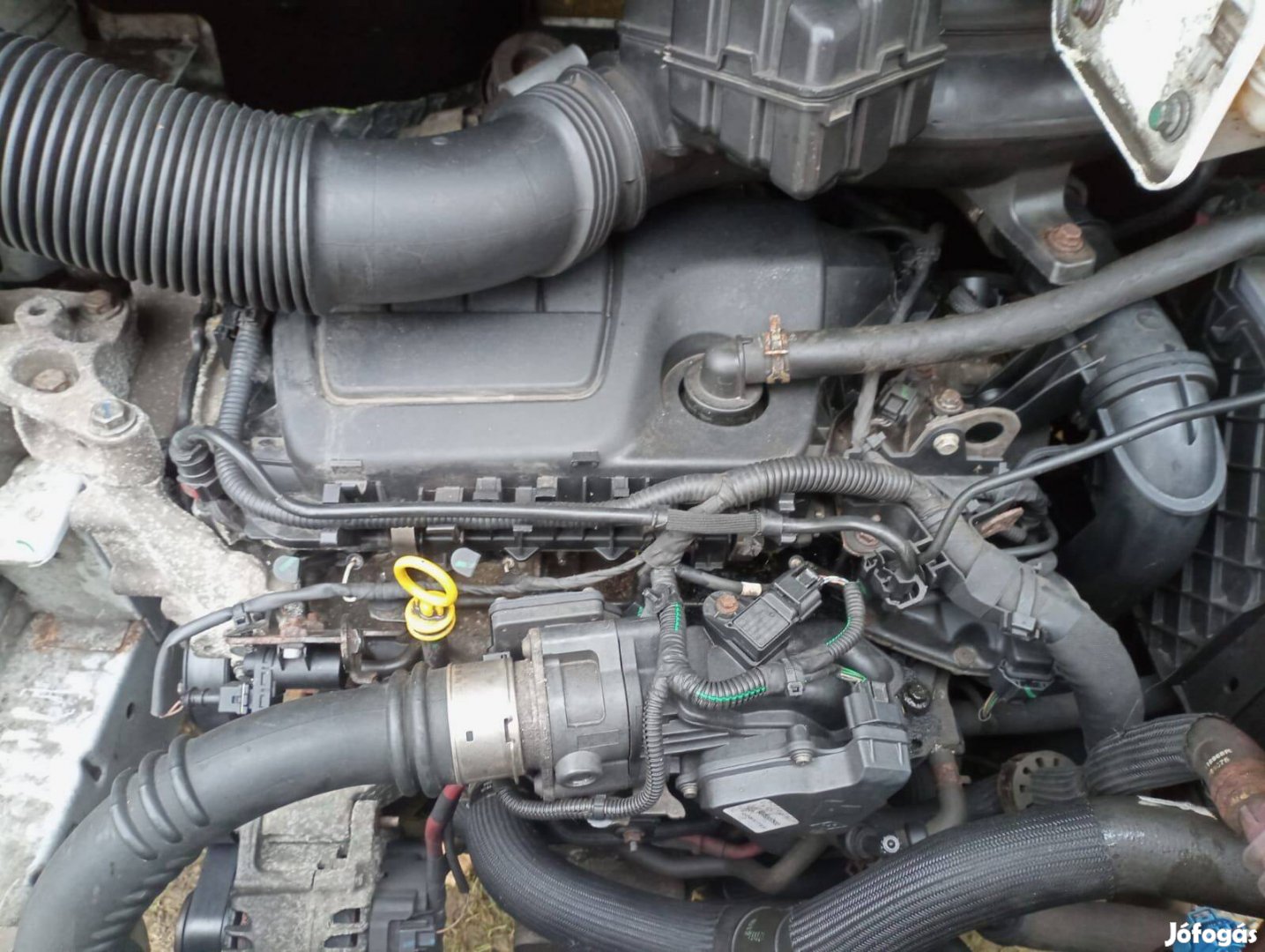 1.6dCi Vivaro/ Trafic/ Talento bontás