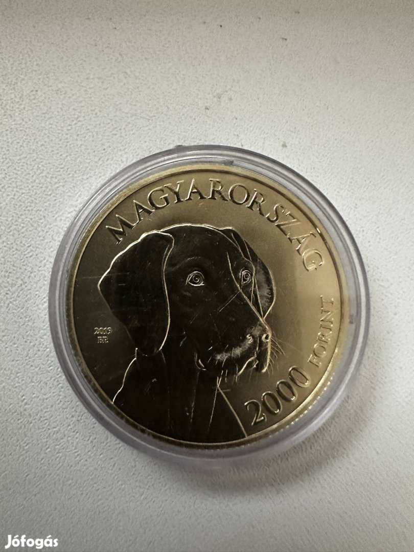 2000 Forint 2019 Magyar Vizsla Kutya Érme UNC