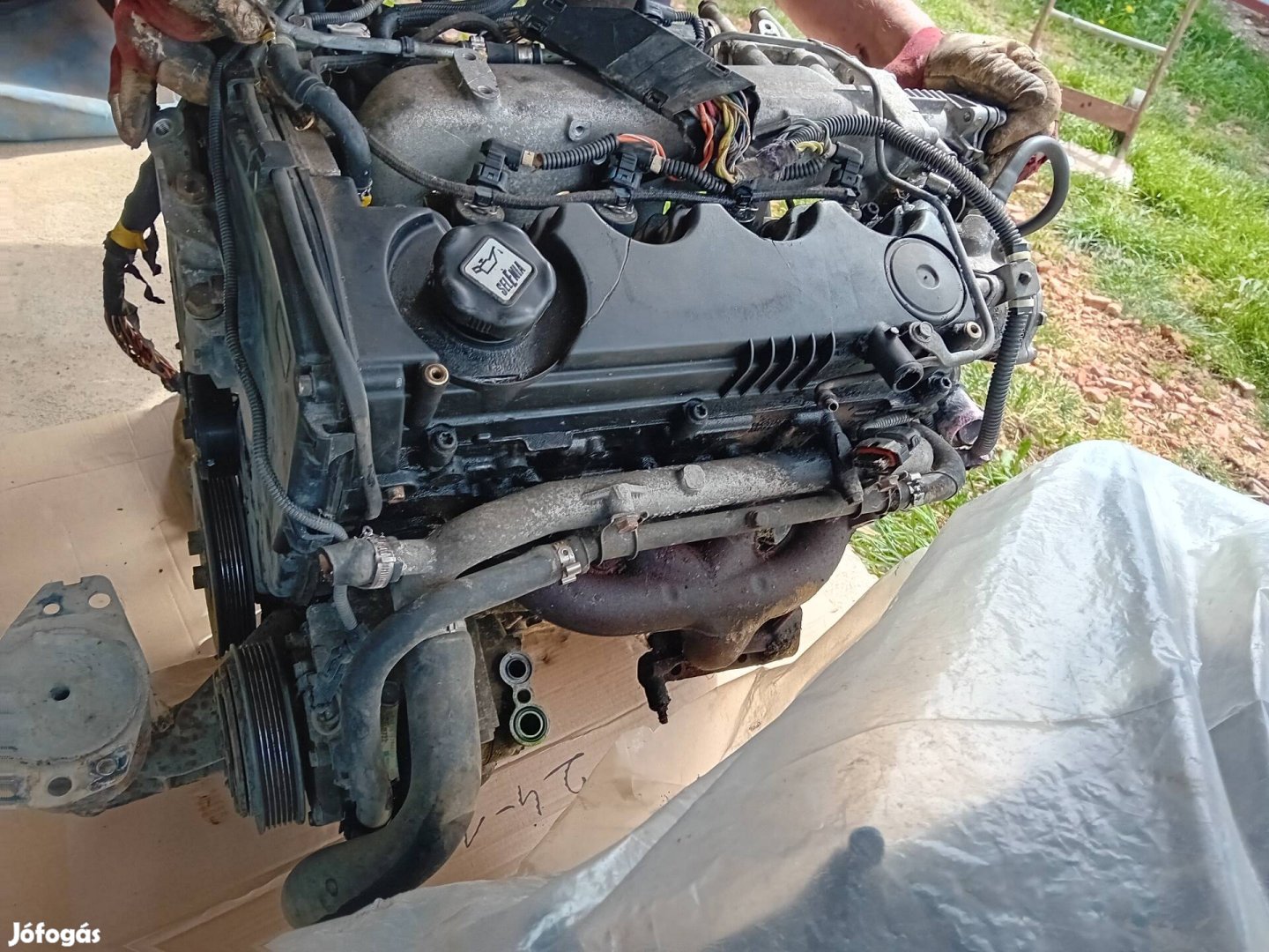 2003-as alfa 156 1.9jtd motor 