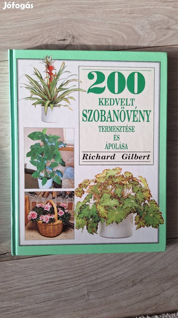 200 kedvelt szobanövény