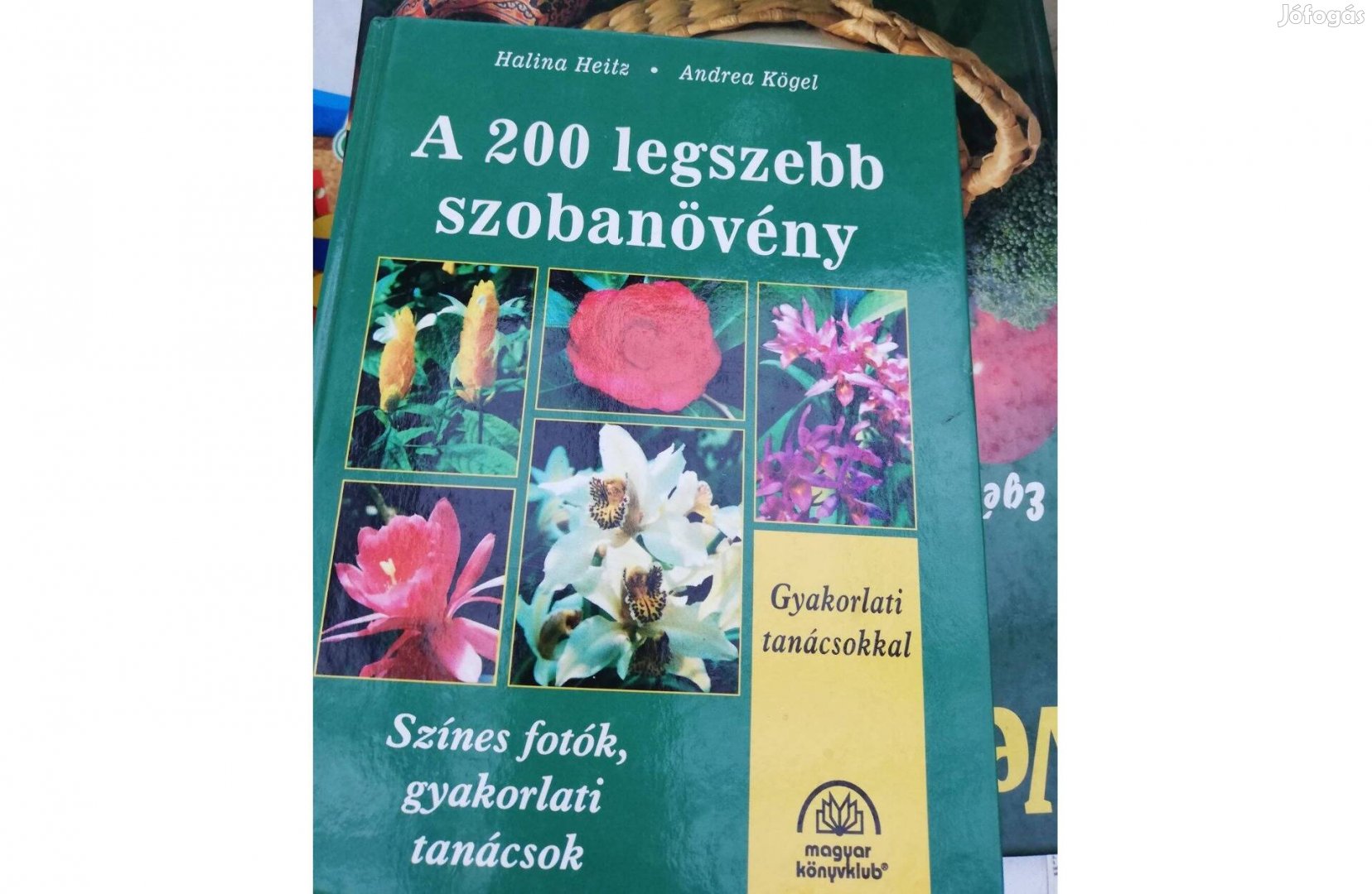 200 legszebb szobanövény - színes fotók, gyakorlati tanácsok Halina