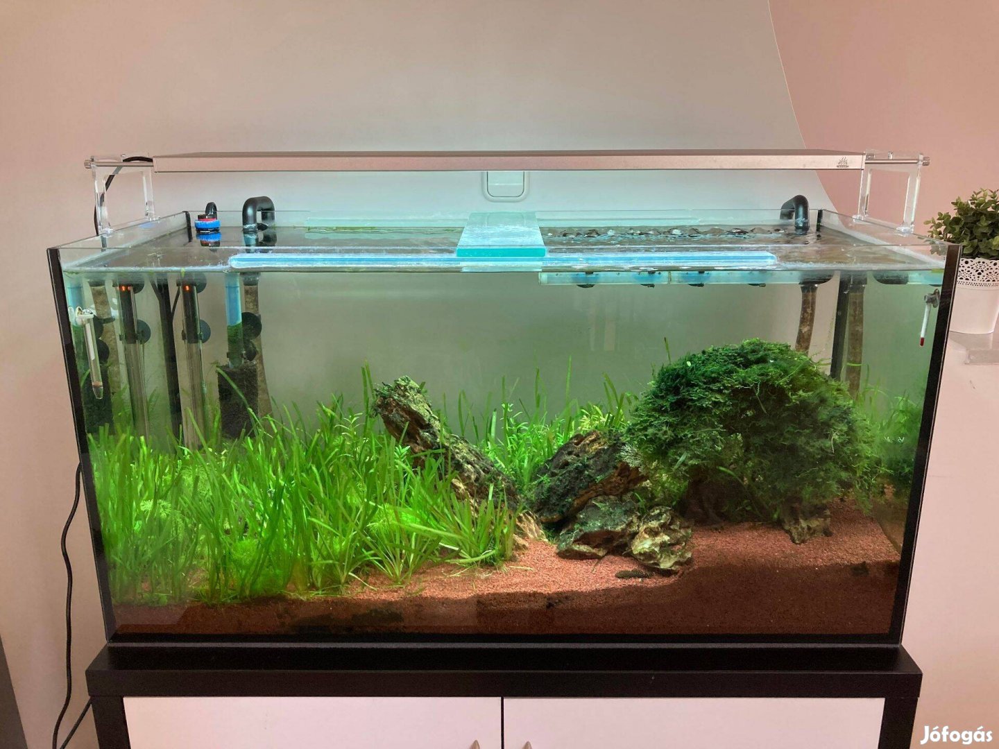 200 literes növényes akvárium