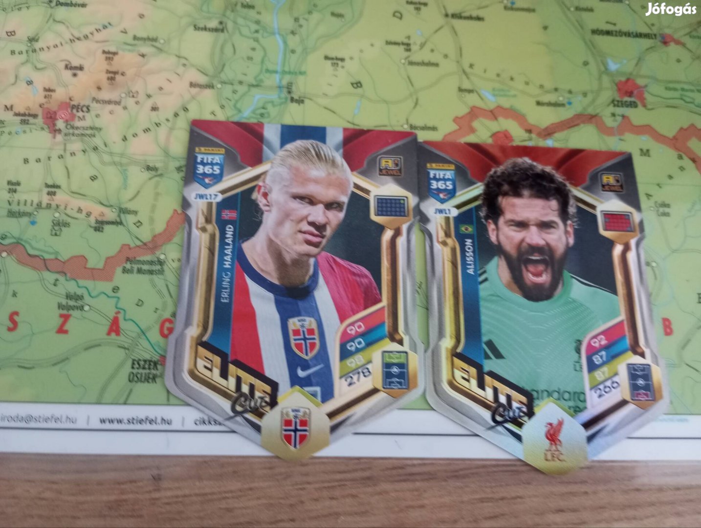 2026-os focis kártya