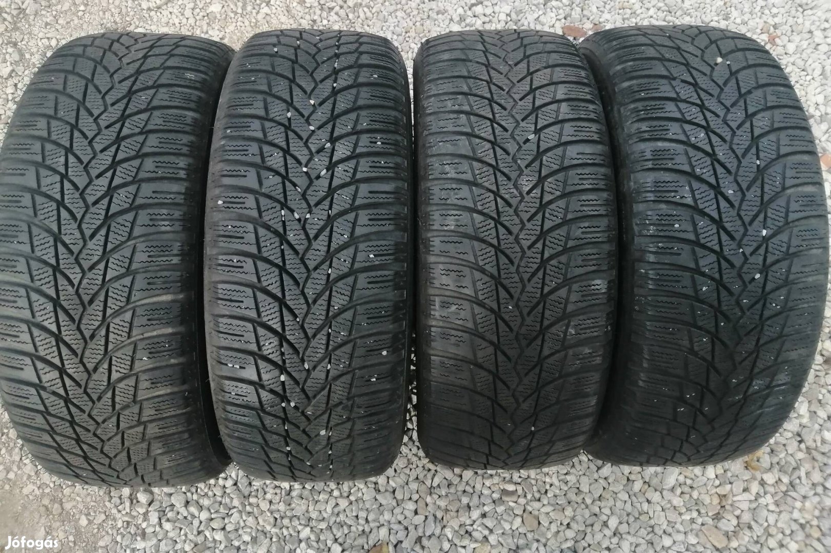 205/55r16 téligumi 