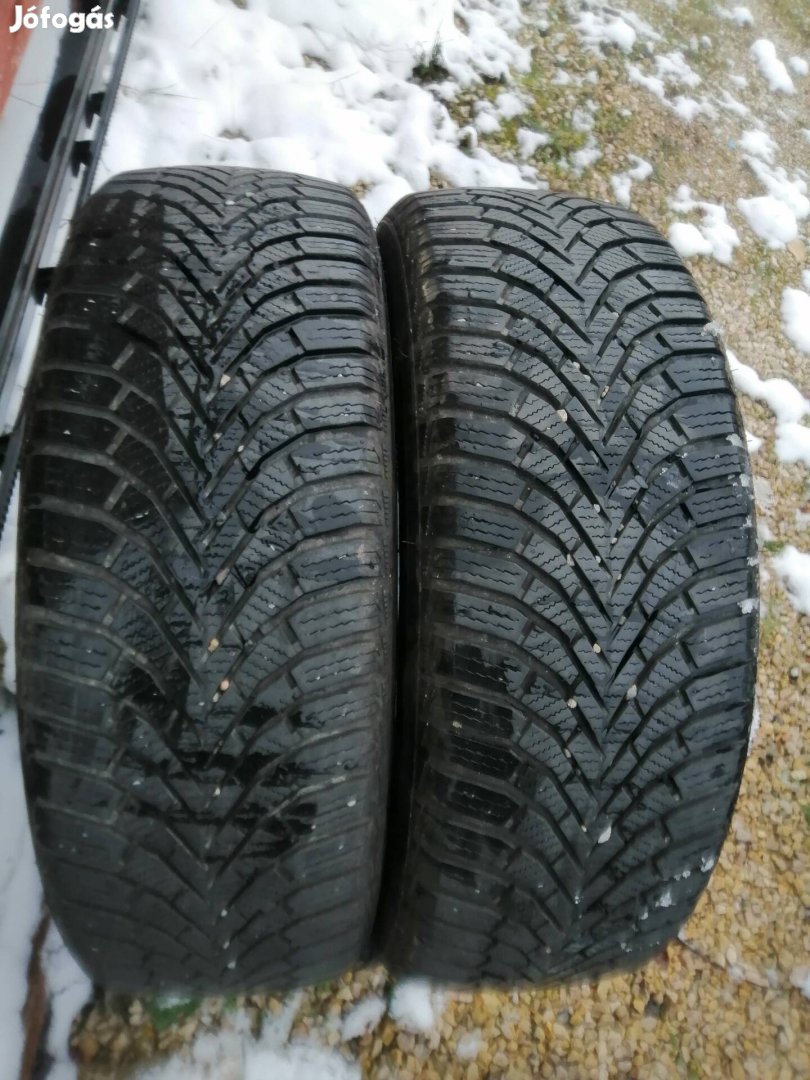 205/60r16 téligumi 