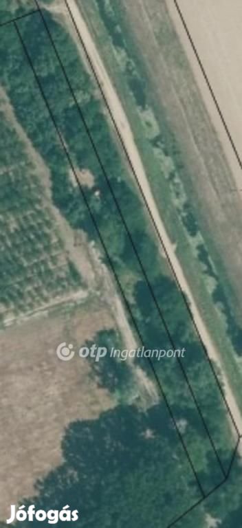 2068 nm-es telek eladó Tiszaszőlős