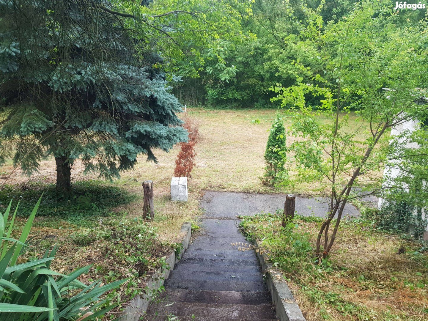 20% beépíthetőség, 8500 m2 belterületi telek/üdülő/ingatlan