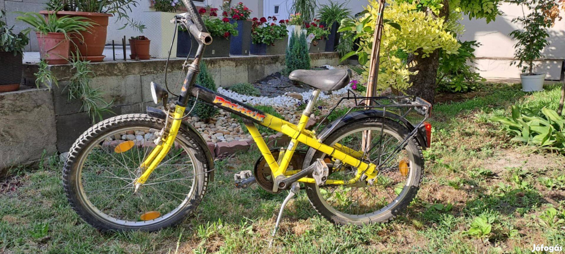 20-as Pegasus gyerek kerékpár