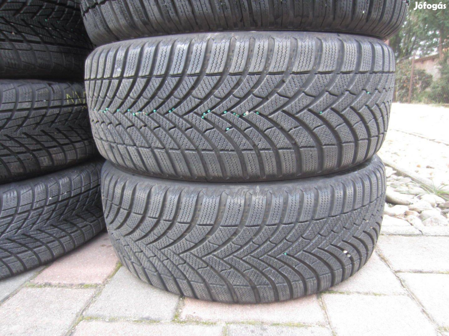 215/50 R17 Semperit Speed-Grip5 95V