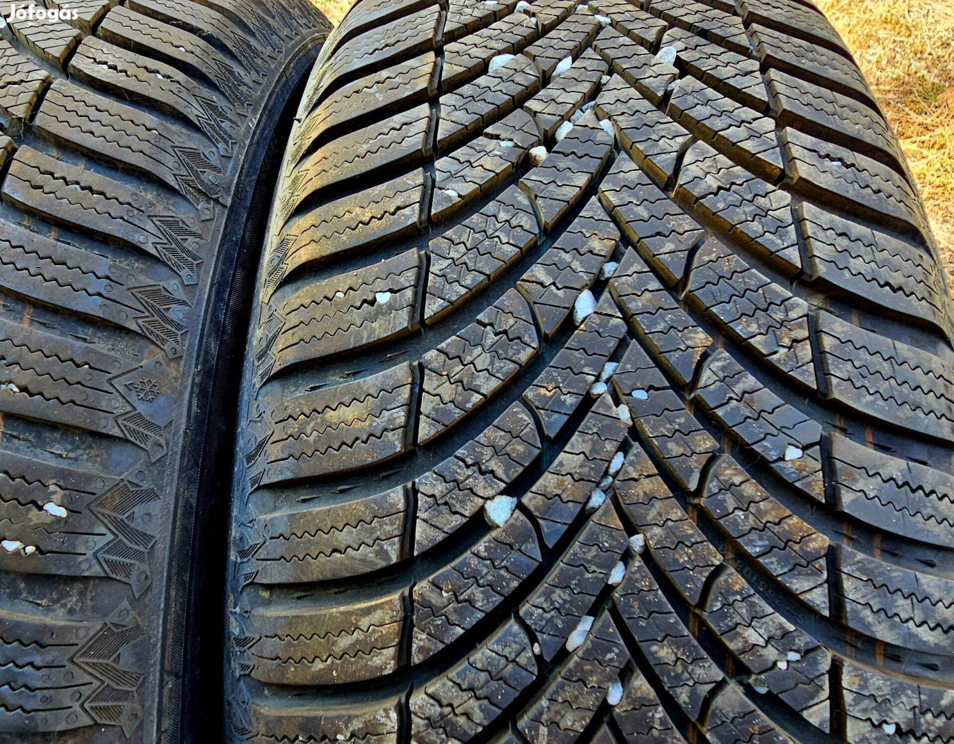 215/55 R17 98V XL - Semperit Speed-Grip 5 2024