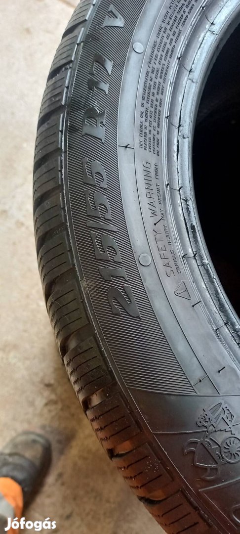 215/55r17 Téligumi 