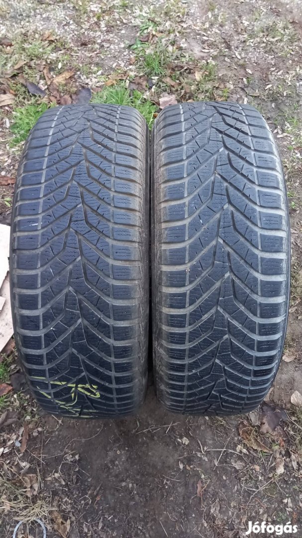 215/60 r16 Yokohama téli