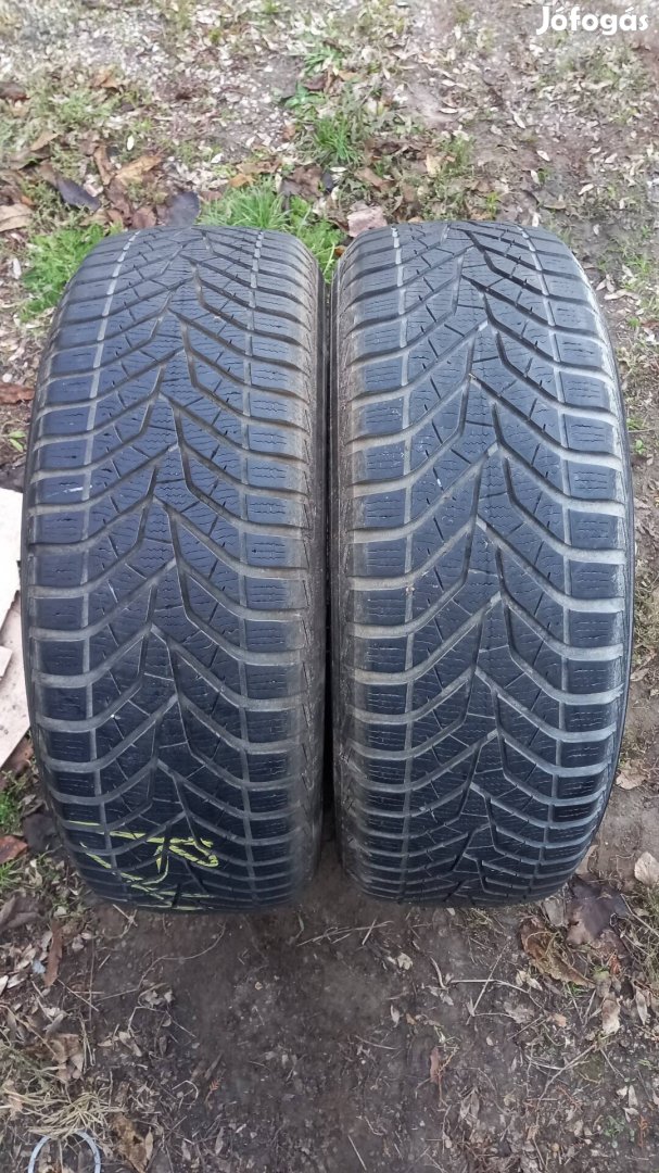 215/60 r16 yokohama téli 