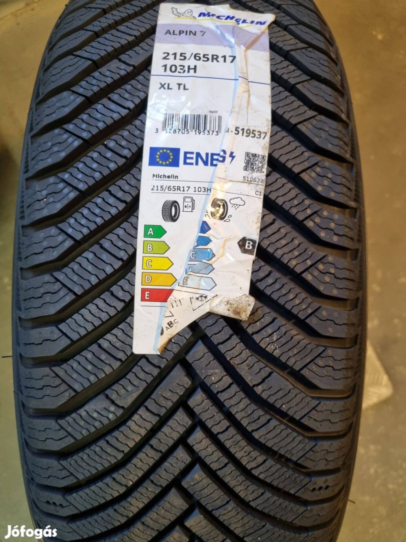 215/65 Michelin Alpin 7