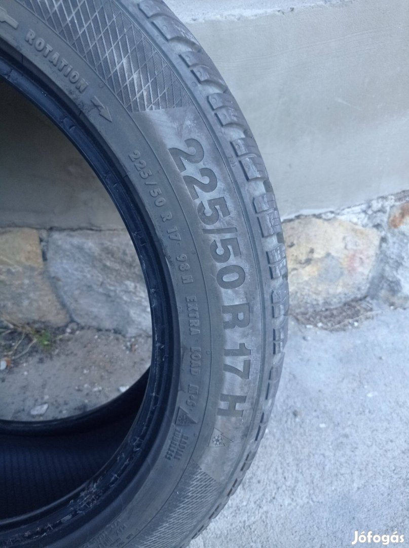 225/50R17 téligumi