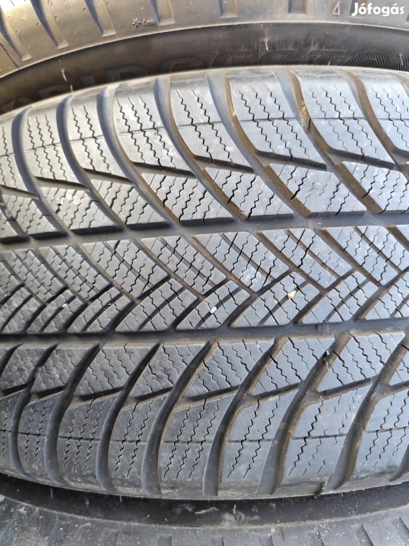 225/60 r17 Bridgestone téligumi 