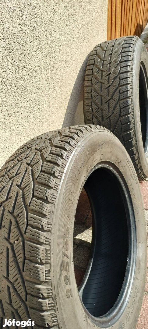 225/65 r17 téligumi 