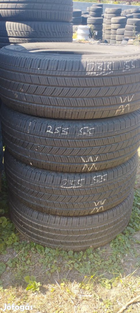 255/55R20 michelin premacy