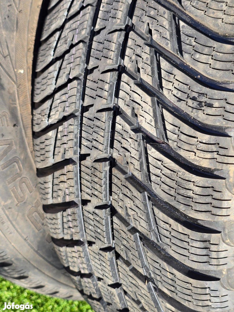 255/65E17 Nokian téligumi