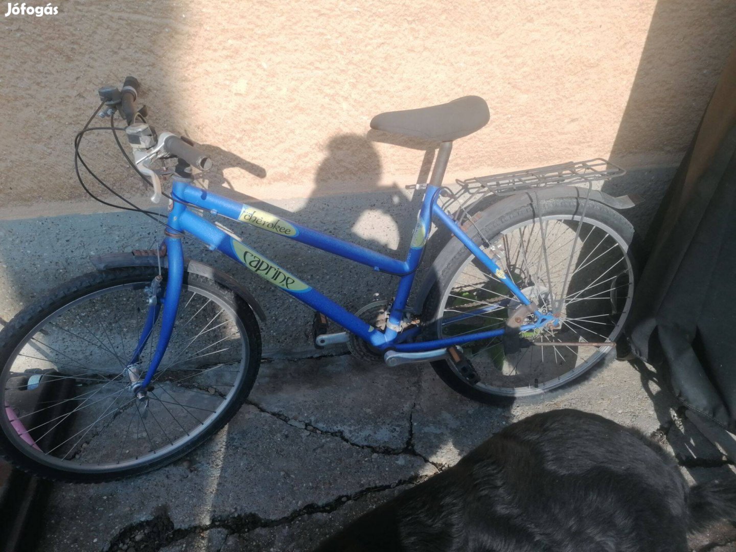 26-os Caprine női kerékpár foglalkozós állapotban