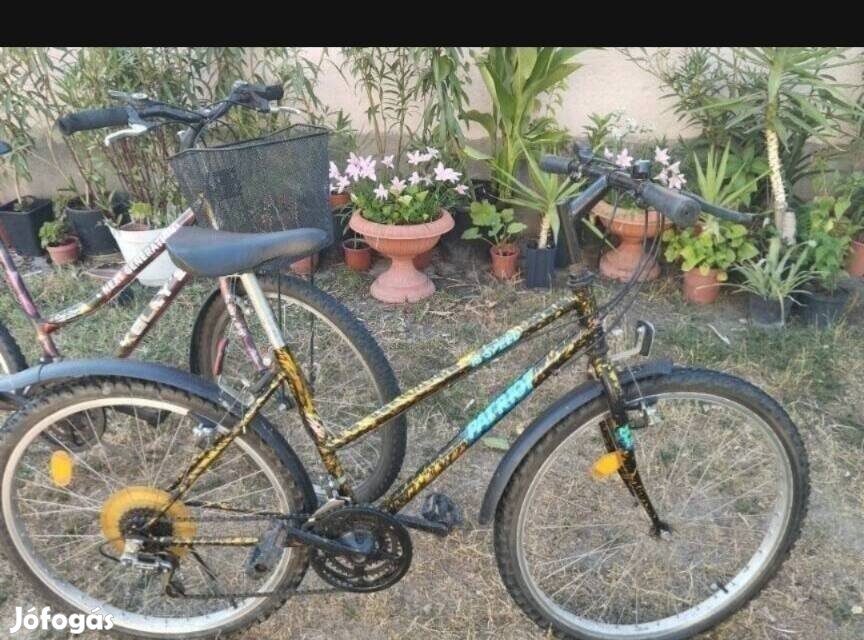 26-os Női mountain bike