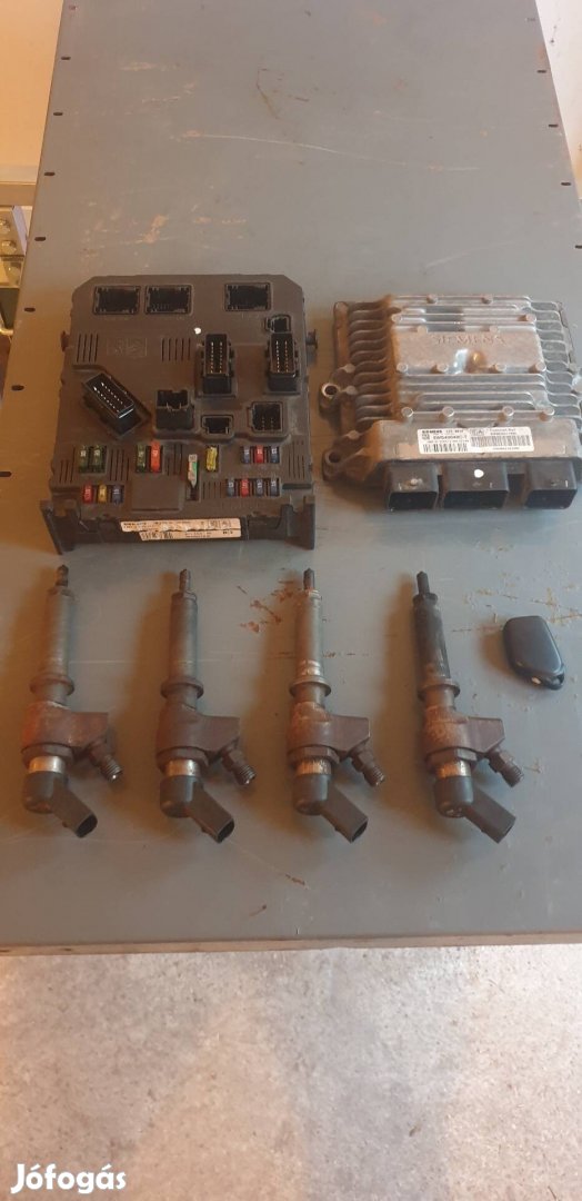 2.0HDI Siemens injector