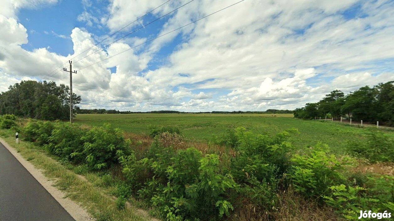 2,89 hektáros külterületi telek eladó