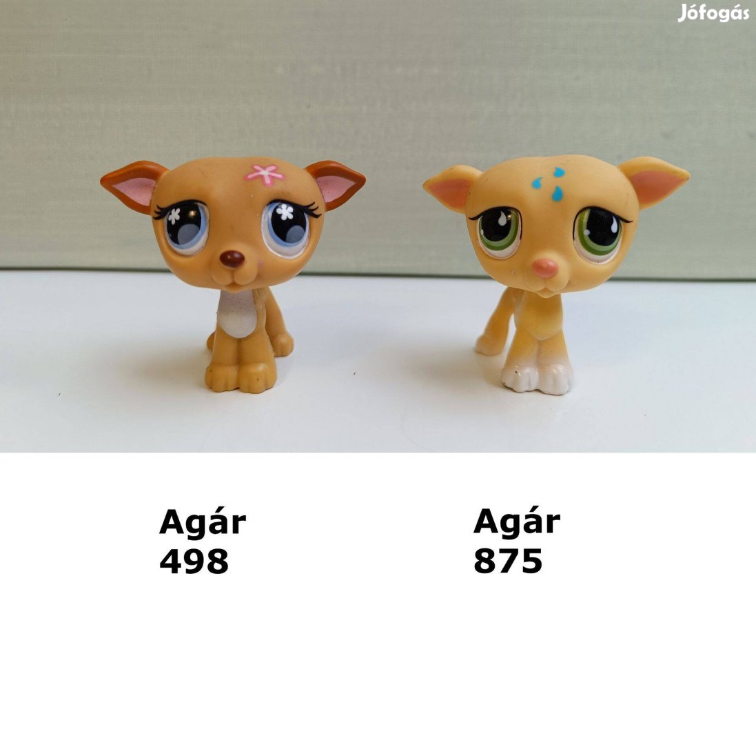 2 db LPS agár figura