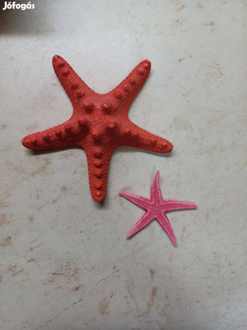 2 db pink tengeri csillag