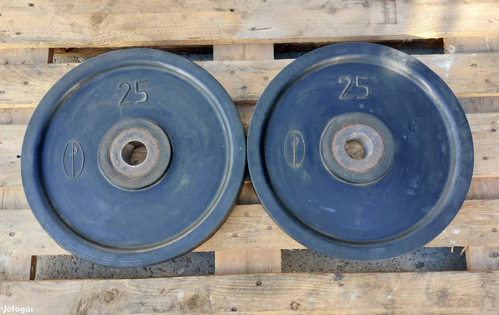2 x 25 kg Vostok súlyzó tárcsa, súlytárcsa 51 mm