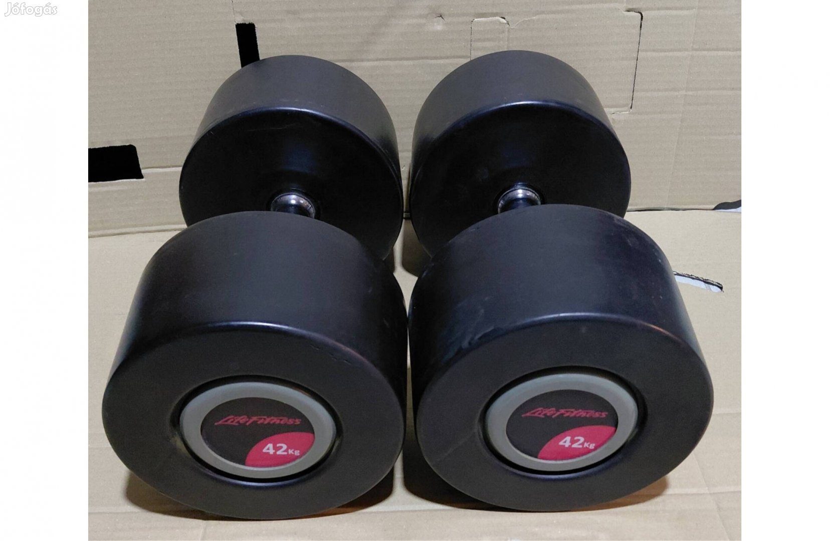 2 x 42 kg Lifefitness gumírozott egykezes súlyzó