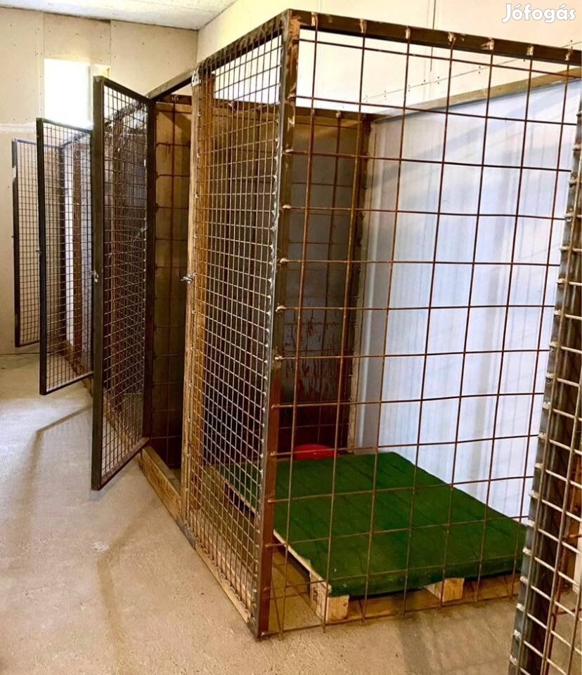 2x3 férőhelyes kutya kennel sor eladó, Székesfehérváron