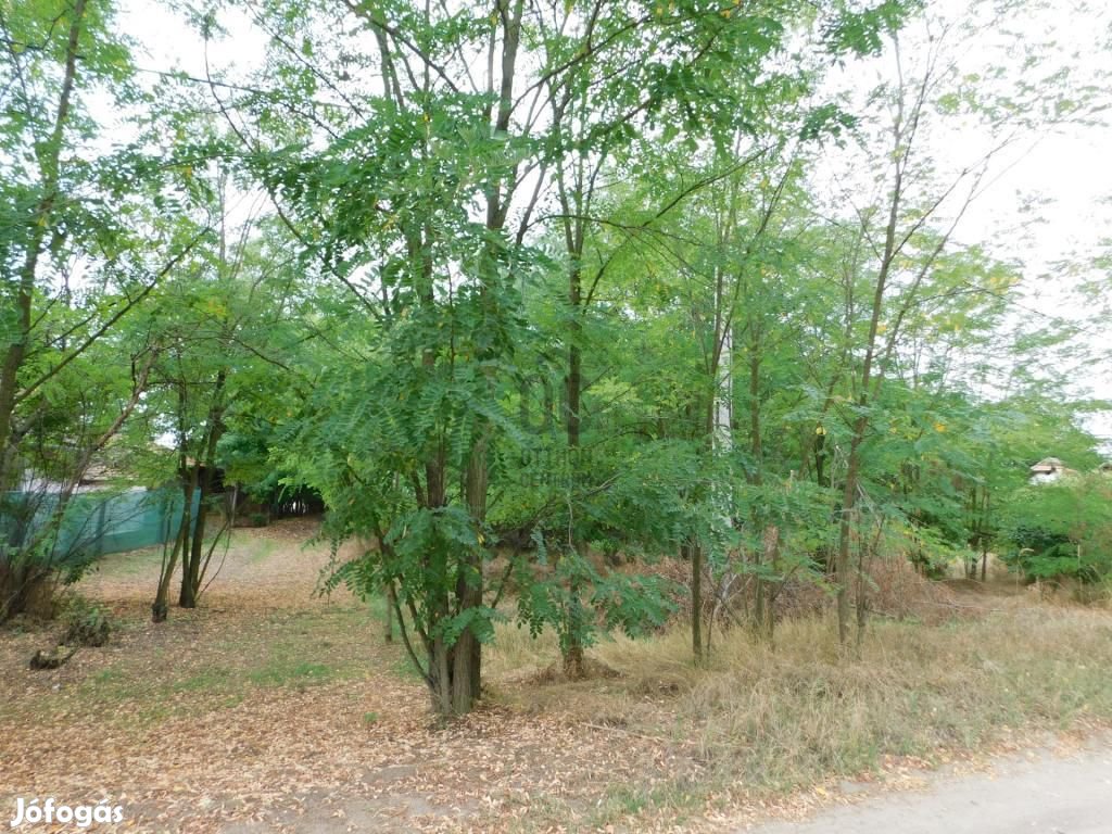 3309 nm-es telek eladó Farmos