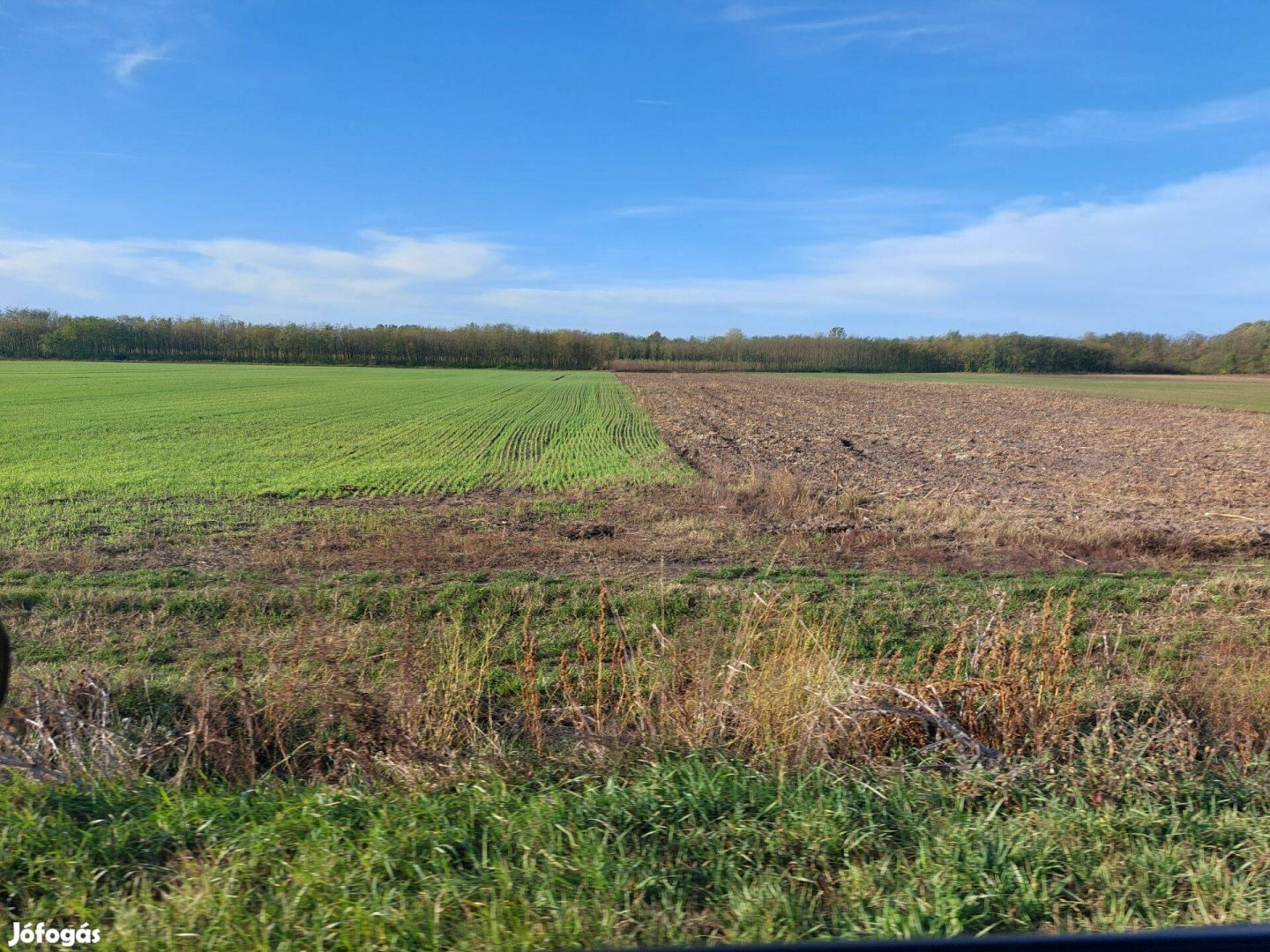 36 hektár egybefüggő szántó termőföld eladó Szabolcs megye