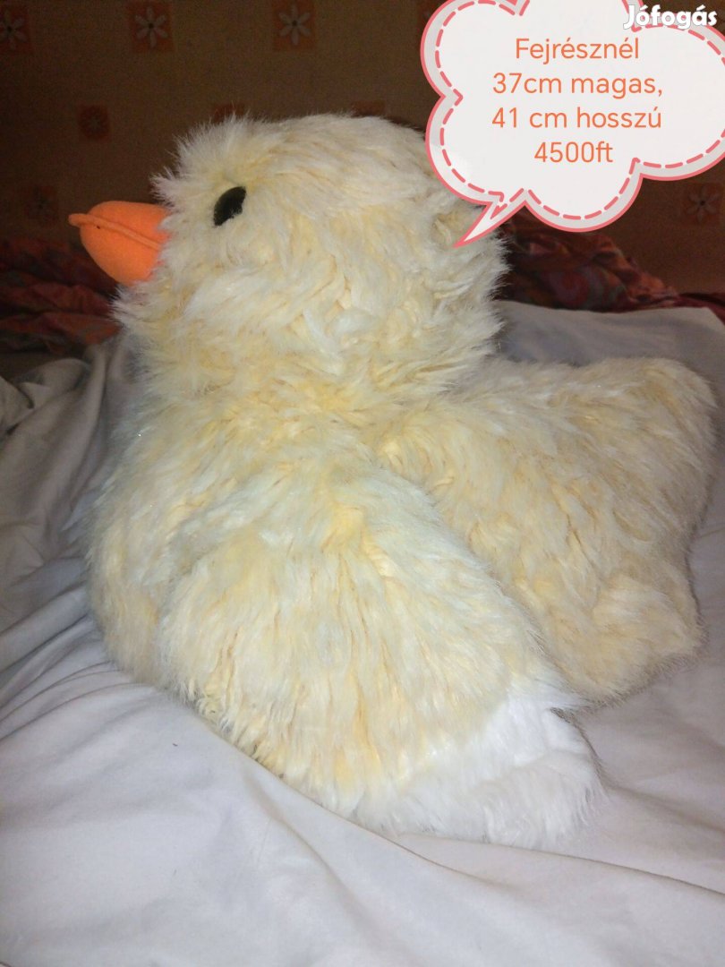 37cm magas cuki csibe