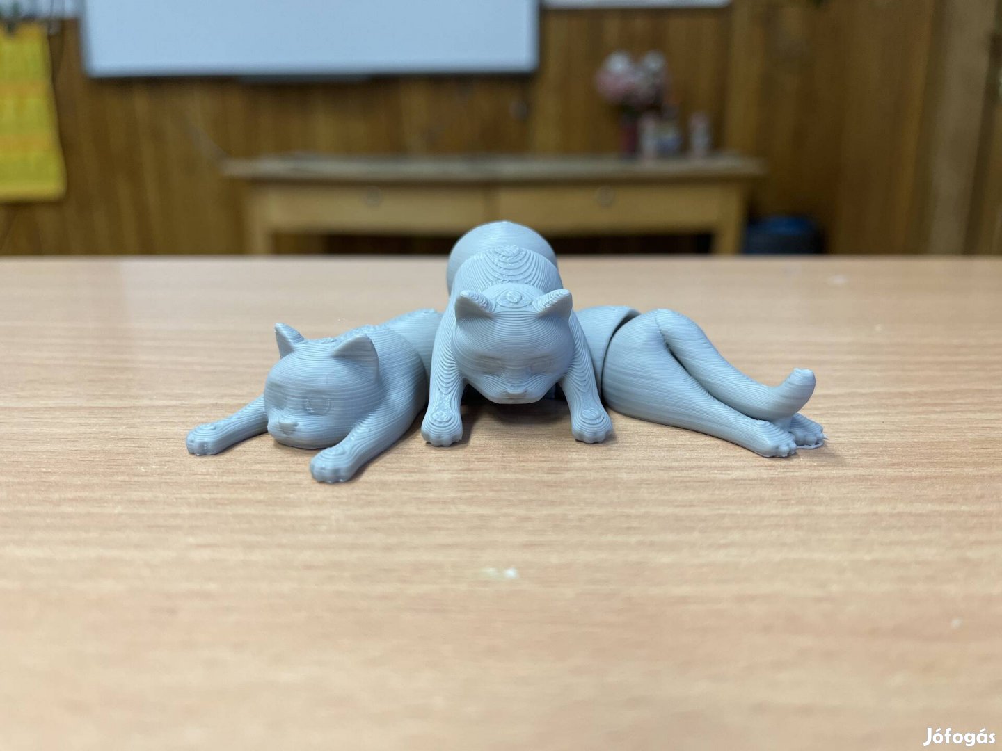 3D nyomtatott cicák