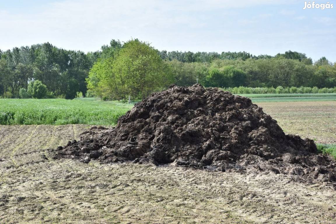 3 Éves Marha Trágya Kapható Házhoz Szállitjúk